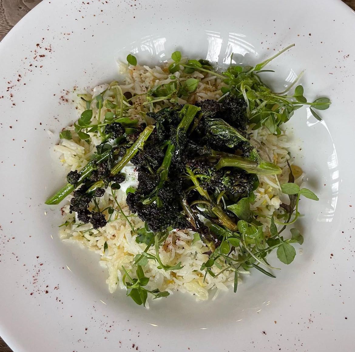 Gaëtan Delmotte (Café de l'Arsenic)