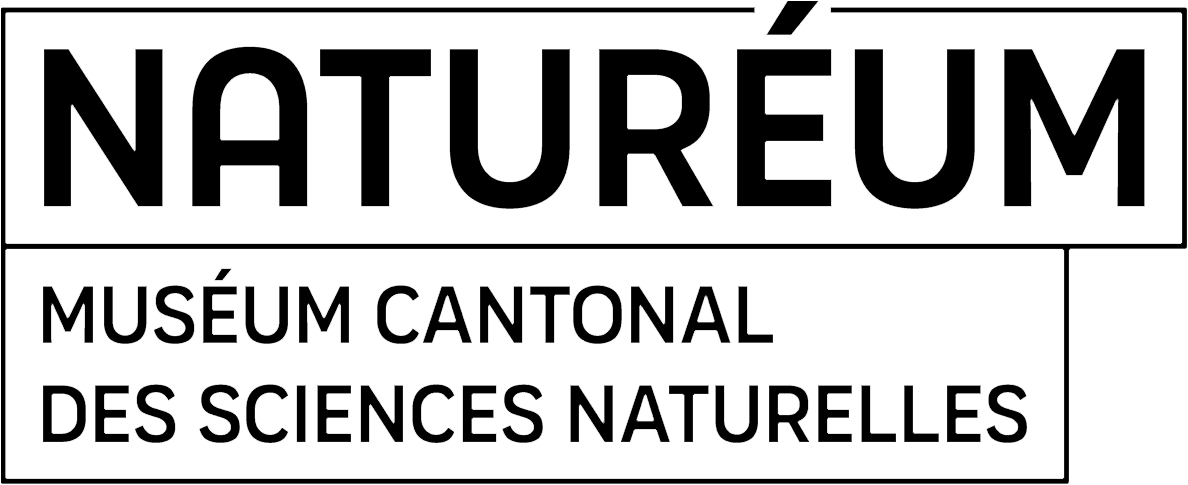 partner.name